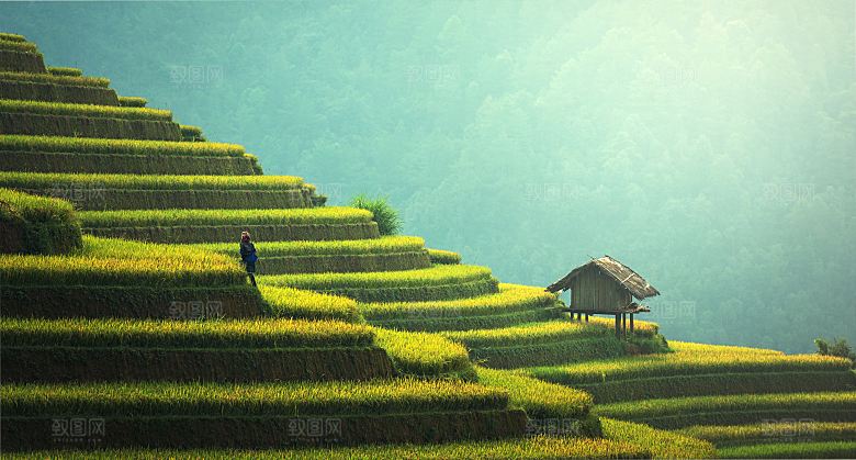秋天梯田妇女风景绿色希望