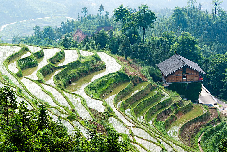 建筑房屋绿色梯田