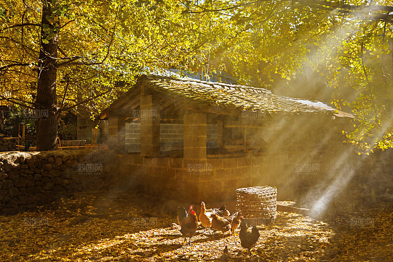 自然风景茅草屋秋天素材