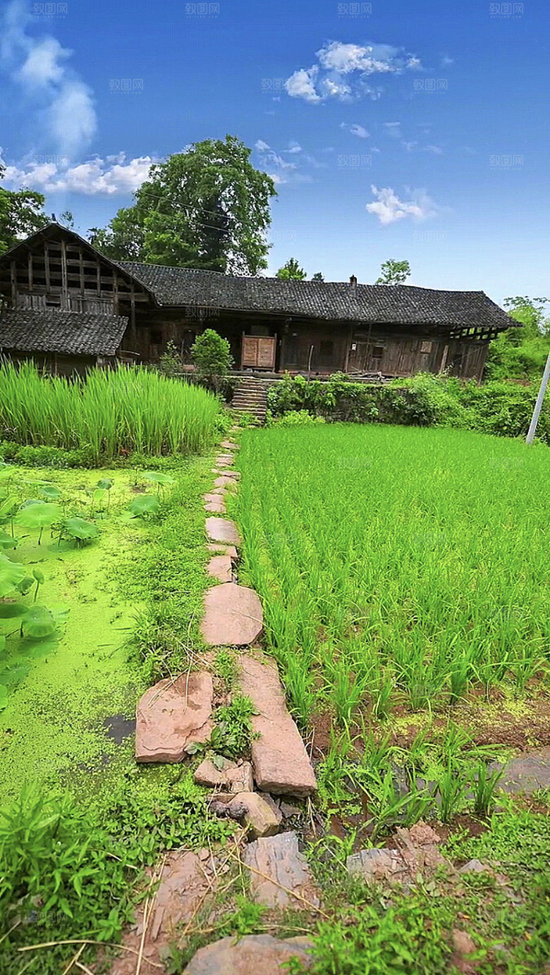 绿草茅草屋小院素材