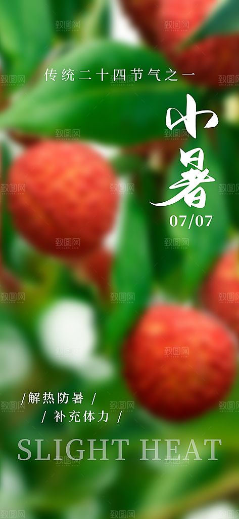 小暑节气简约大气插画海报