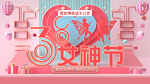 大气妇女节节日宣传展板