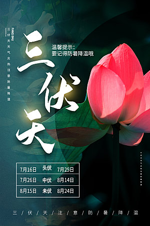 夏日夏季三伏天初伏中伏末伏海报