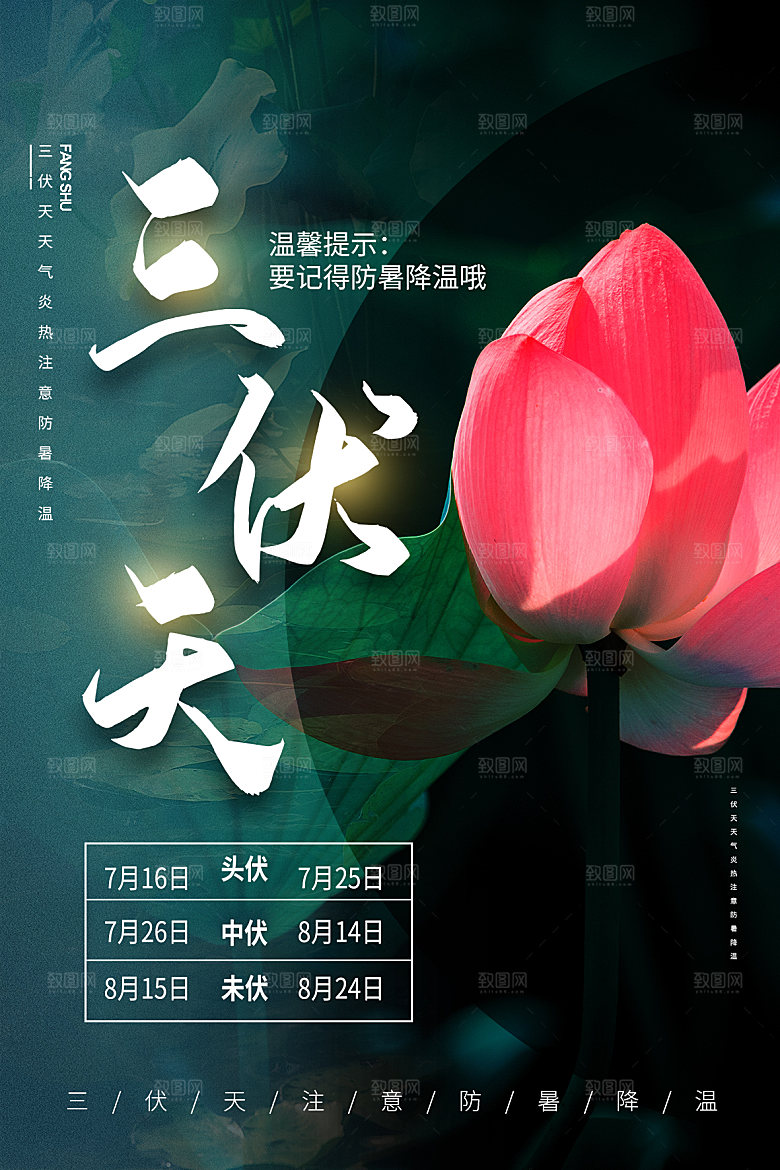 夏日夏季三伏天初伏中伏末伏海报