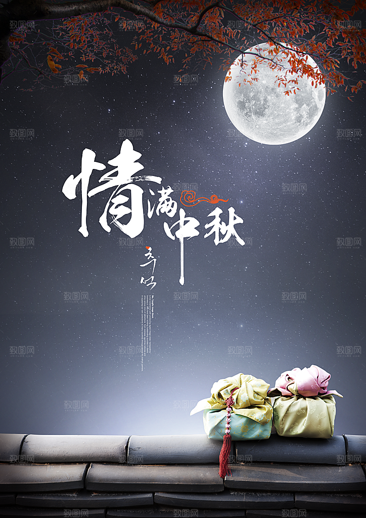 中国传统节日中秋节海报插画