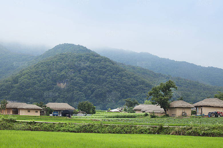 乡愁森林林间古村落乡村摄影图