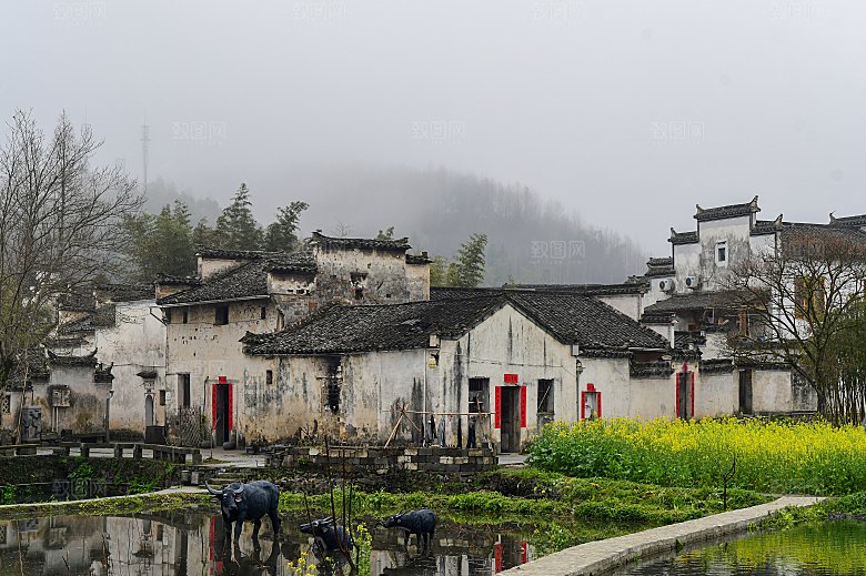 家乡江南小镇乡村村落水乡图片