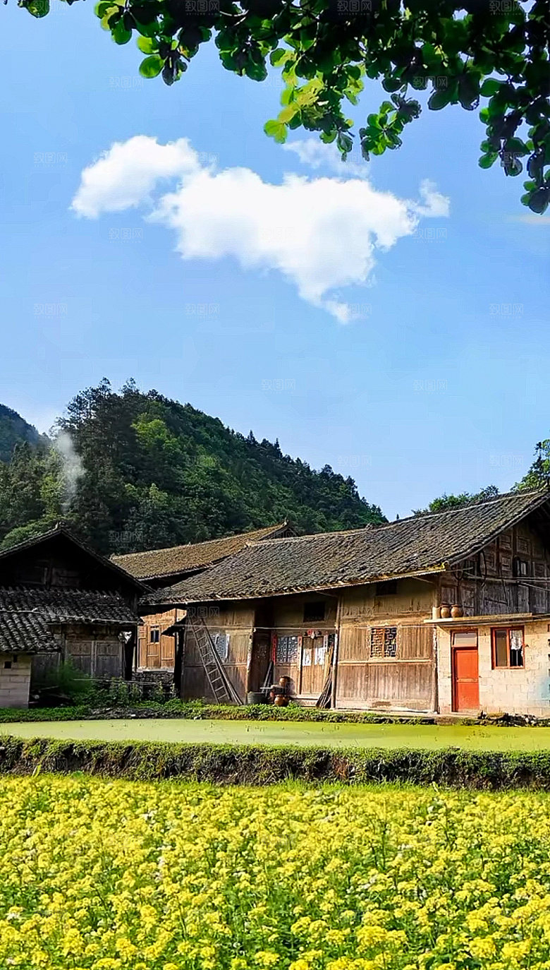 家乡乡村古镇村庄庄家校园古风院落