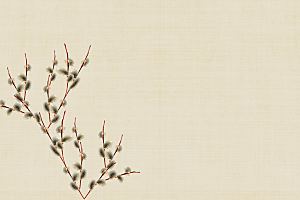 中式古风复古中国风工笔画背景展板素材