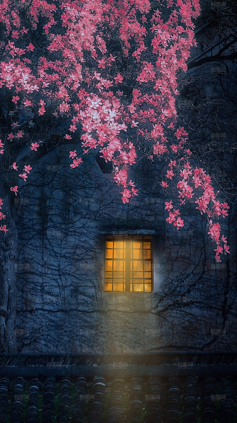 夜晚家乡小院家庭庭院图