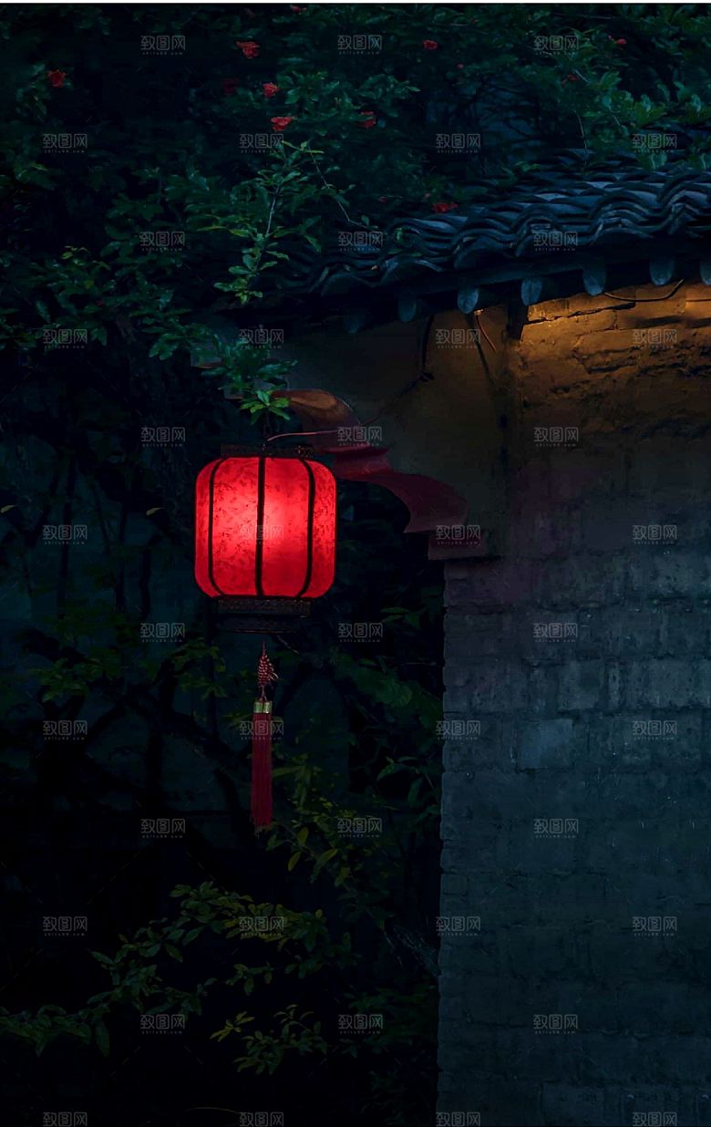 夜晚家乡小院家庭庭院图