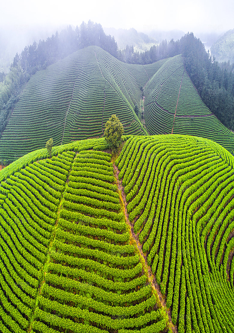 自然风景林间山色摄影图