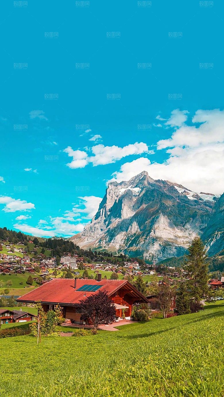 春季自然风光春天草地鲜花户外风景