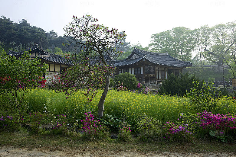 田园风光别墅家乡森林