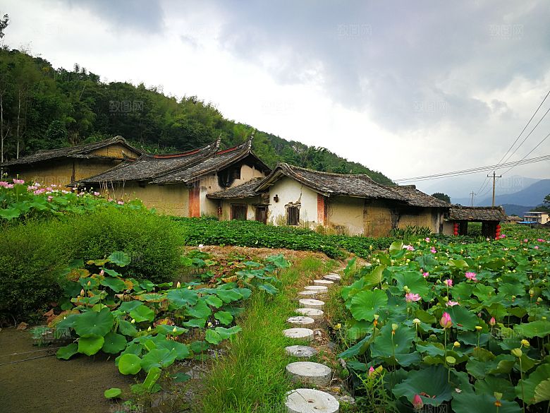 田园风光别墅家乡森林