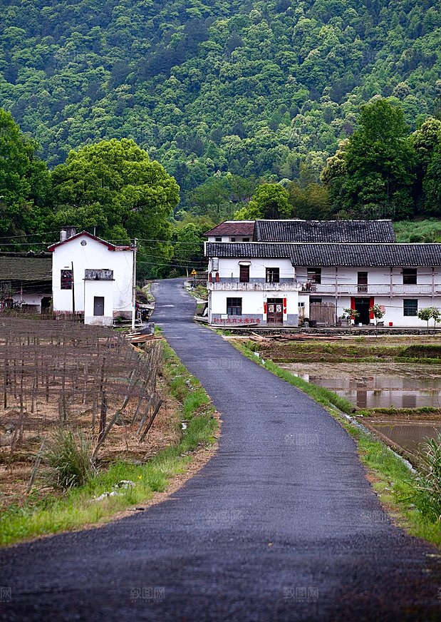 田园风光别墅家乡森林