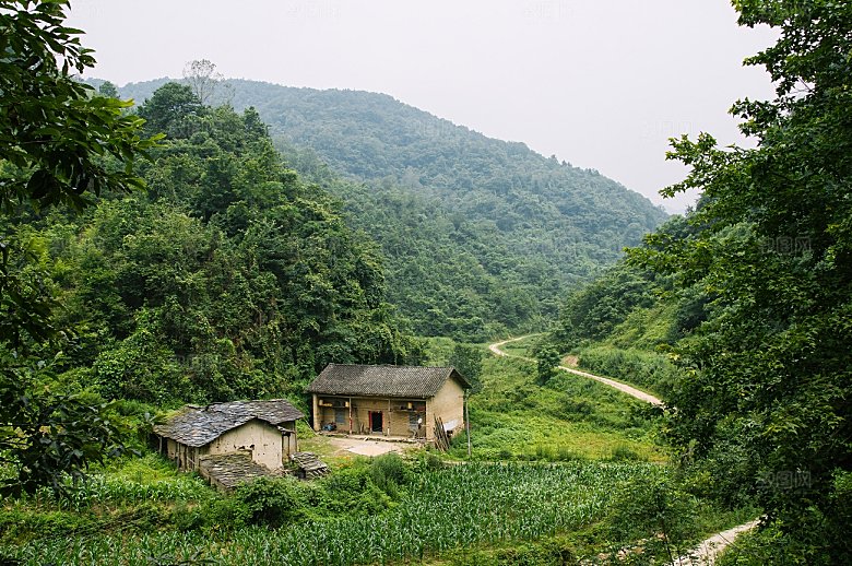田园风光别墅家乡森林