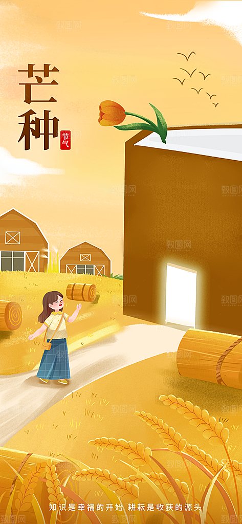 中国传统节气芒种平面海报插画