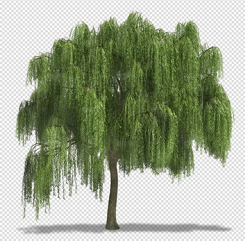 景观大树树冠树木png免扣元素