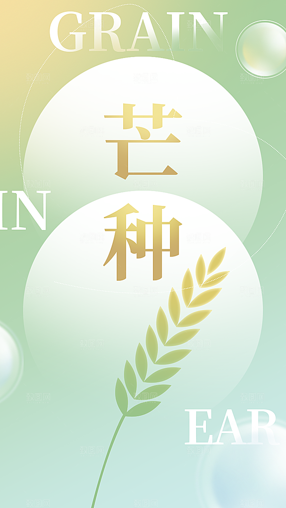 中国传统节气芒种平面海报插画