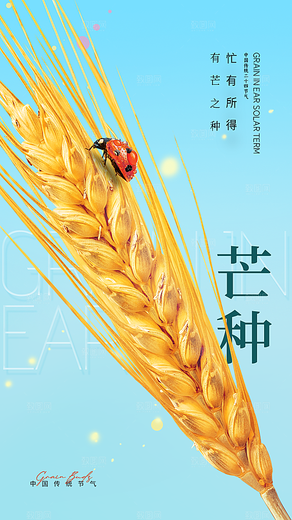 中国传统节气芒种平面海报插画