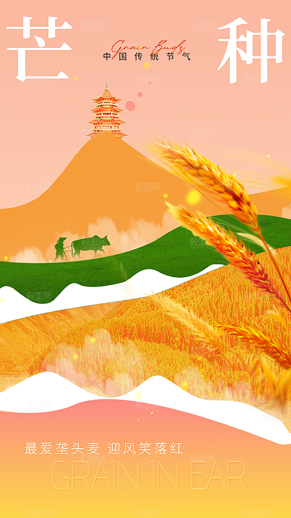 中国传统节气芒种平面海报插画