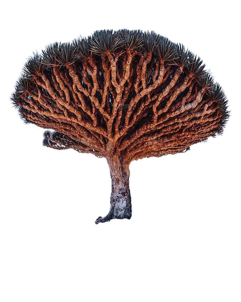 植物花卉免扣元素树木