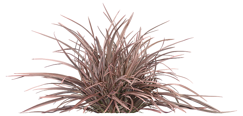 植物花卉免扣元素