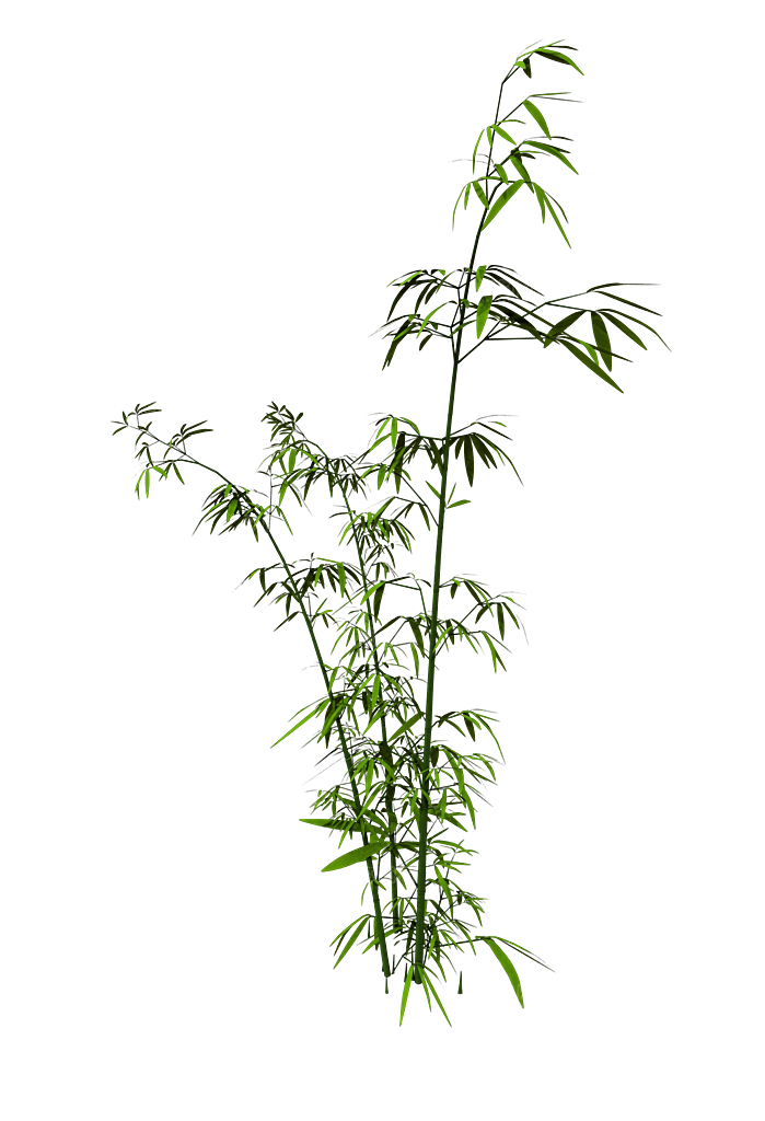 植物花卉免扣元素