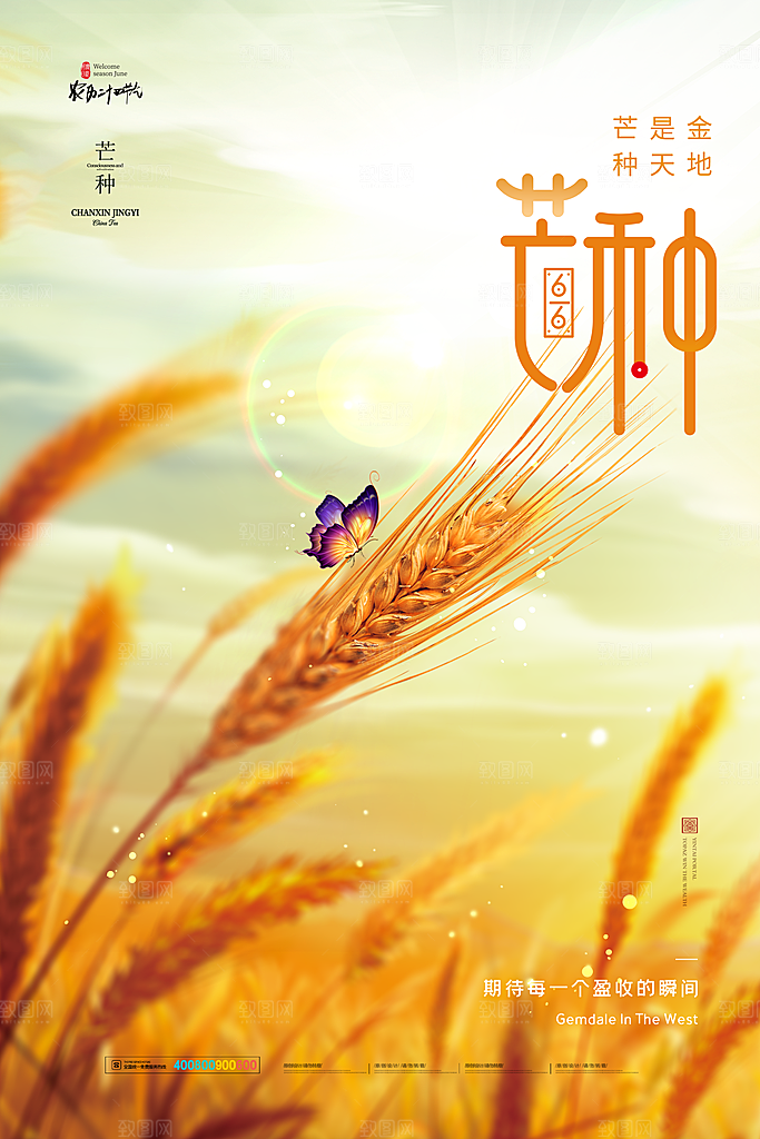 中国传统节气芒种平面海报插画