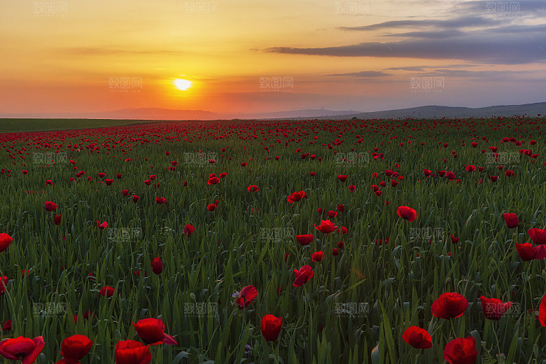 自然风景高清夕阳日落阳光素材