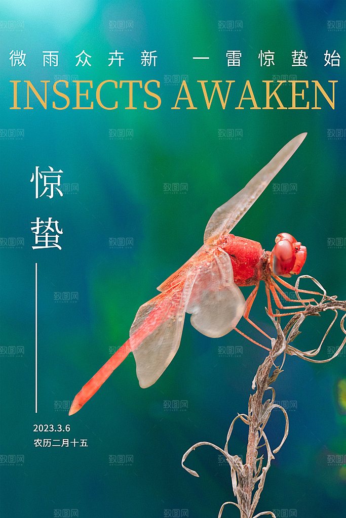 中国传统节气惊蛰简约手机海报