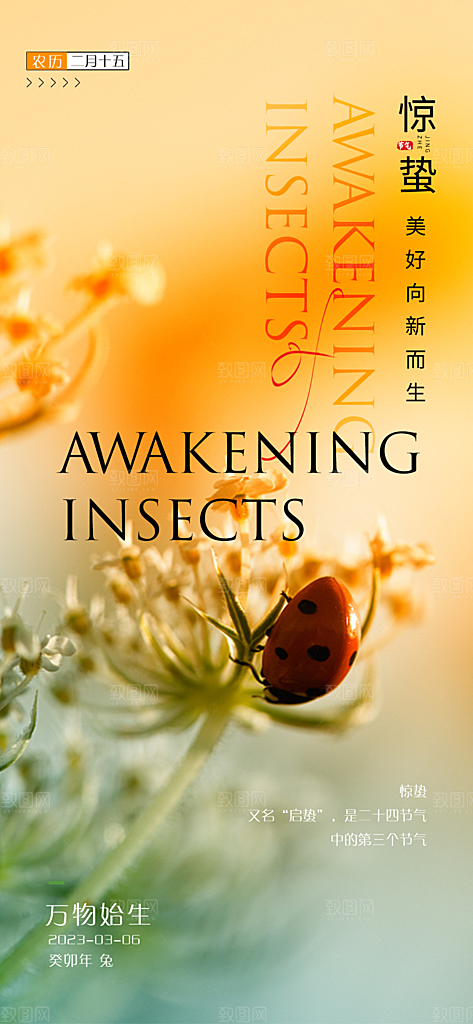 中国传统节气惊蛰渐变手机海报