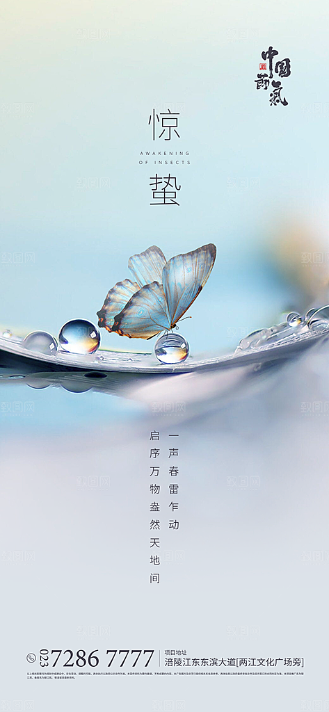 中国传统节气惊蛰渐变手机海报