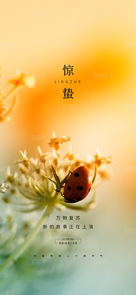 中国24节气惊蛰高端手机海报