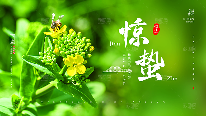 中国传统节气惊蛰简约手机海报
