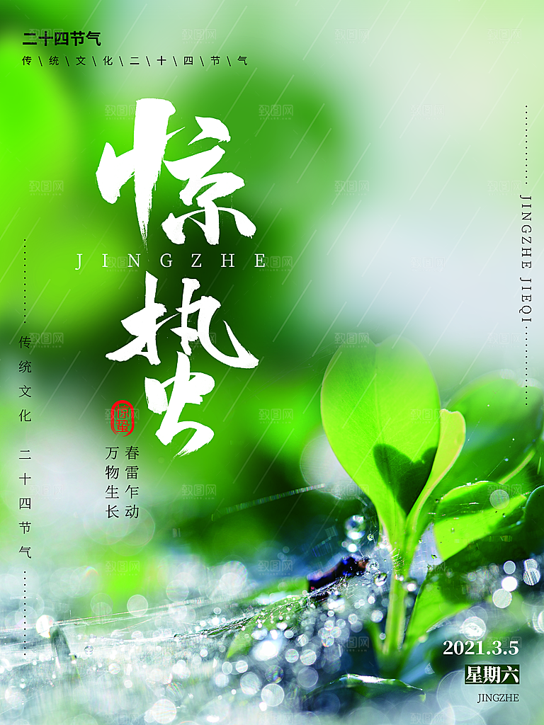 中国24节气惊蛰简约手机海报