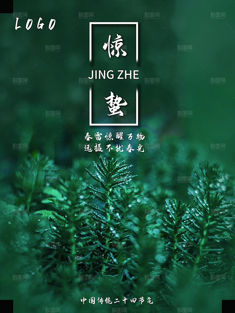 中国24节气惊蛰简约手机海报