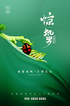 中国传统节气惊蛰手机海报
