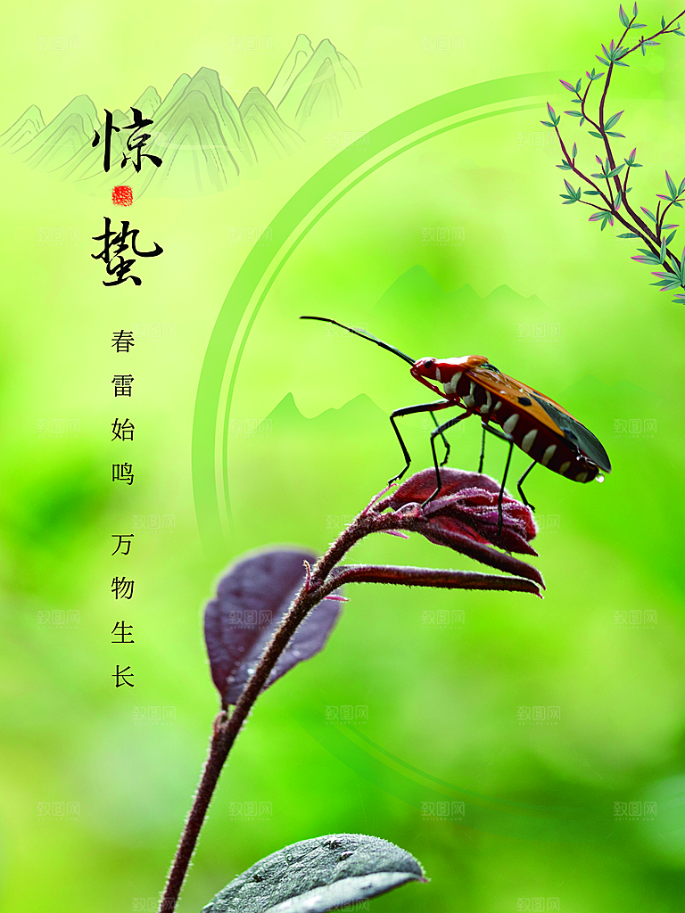 中国传统节气惊蛰手机海报