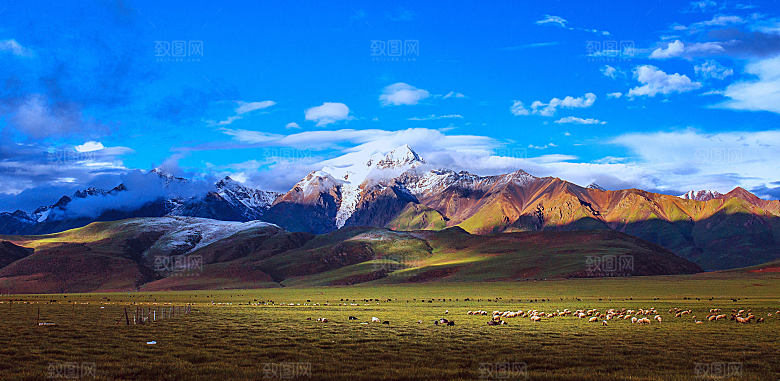 草地沙滩后期合成背景