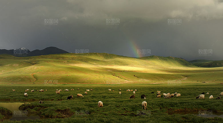 草地沙滩后期合成背景