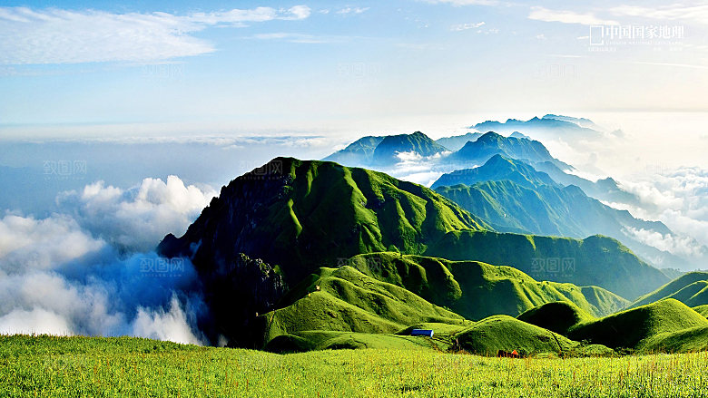草地沙滩后期合成背景
