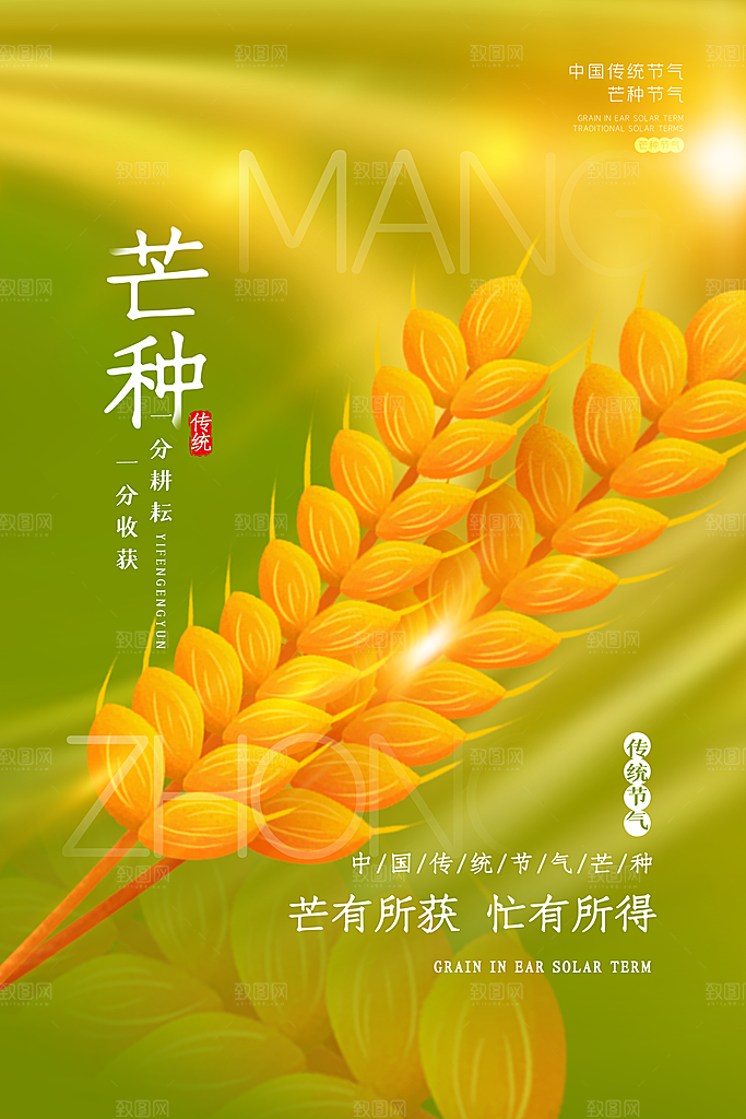 中国传统节气芒种平面海报插画
