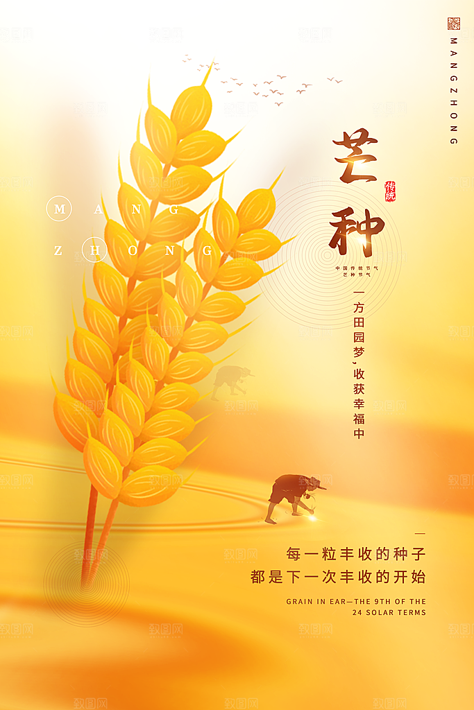 中国传统节气芒种平面海报插画