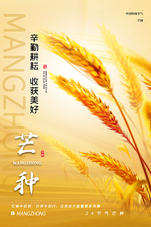 中国传统节气芒种平面海报插画