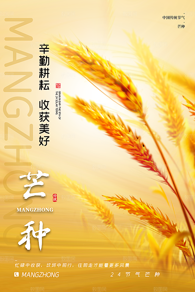 中国传统节气芒种平面海报插画