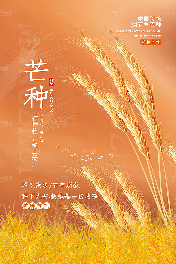 中国传统节气芒种平面海报插画