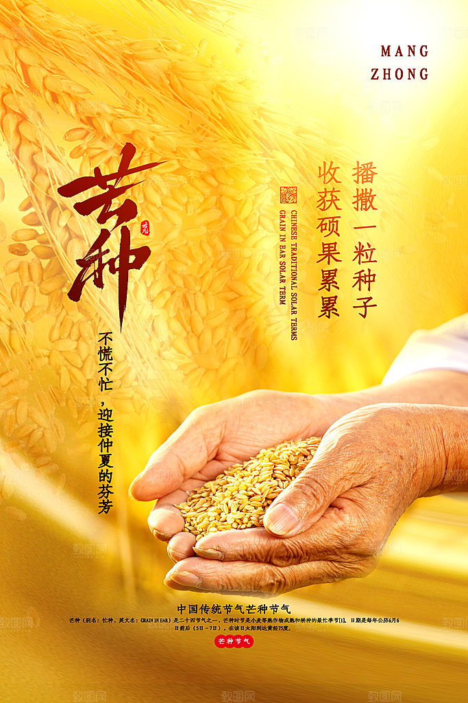中国传统节气芒种平面海报插画