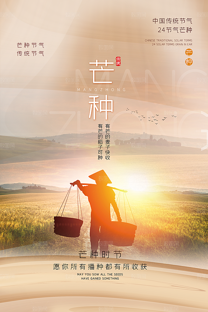 中国传统节气芒种平面海报插画